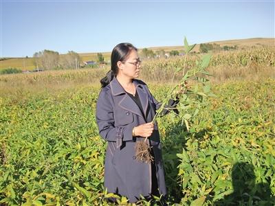 格尼河农场新领导引领繁荣与进步之路